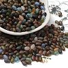 Transparent Colours Glass Seed Beads X-SEED-F006-03A-03-1