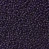 TOHO Round Seed Beads SEED-XTR08-0008DF-2