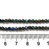 Natural Chrysocolla & Lapis Lazuli Beads Strands G-D463-08B-4