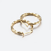 304 Stainless Steel Hoop Earrings EJEW-G239-33A-2