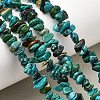 Natural HuBei Turquoise Bead Strands G-H345-A01-08-1