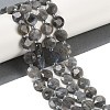 Natural Labradorite Beads Strands G-C116-A46-01-1