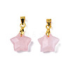 Natural Rose Quartz Charms G-N326-142-09-1