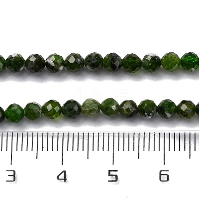Natural Diopside Beads Strands G-G188-B14-02-1