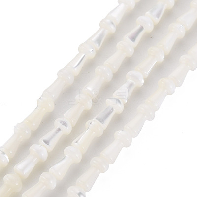 Natural Trochid Shell/Trochus Shell Beads Strands SSHEL-T014-44-1