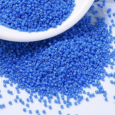 MIYUKI Delica Beads X-SEED-J020-DB2134-1