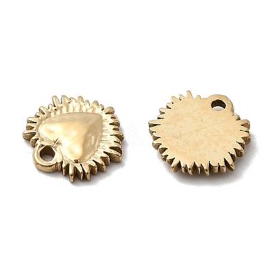 304 Stainless Steel Charms STAS-A127-02G-1