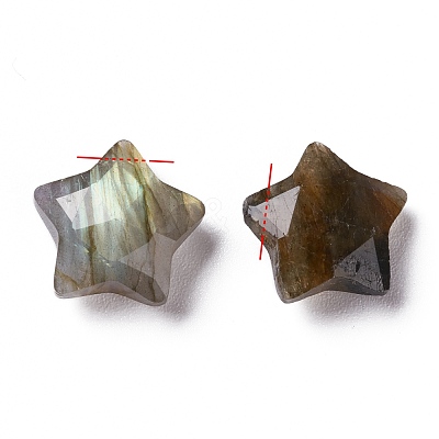 Natural Labradorite Charms X-G-H241-04C-1