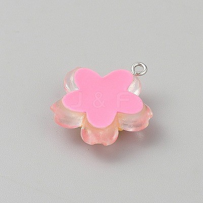 Transparent Resin Pendants RESI-TAC0002-84E-1