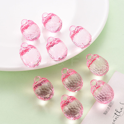 Autumn Theme Transparent Acrylic Pendants TACR-T024-04B-903-1