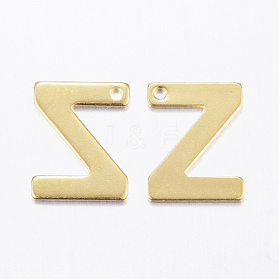 304 Stainless Steel Charms LS-X-STAS-P141-Z-1