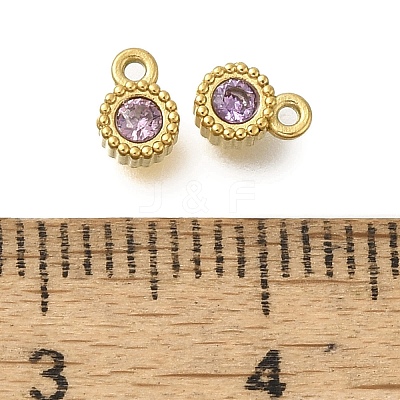 304 Stainless Steel Micro Pave Cubic Zirconia Charms STAS-U027-02G-09-1
