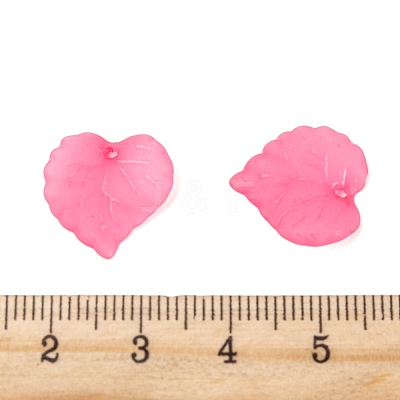 Transparent Acrylic Pendants PL591-3-1