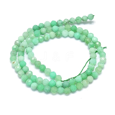 Natural Chrysoprase Beads Strands G-G106-C01-03-1
