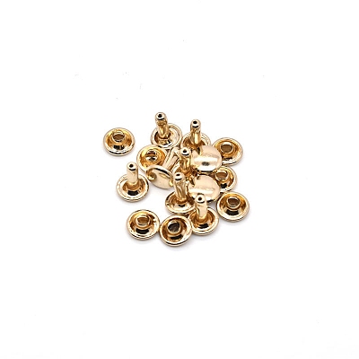Brass Rivets PW-WG2BECC-19-1