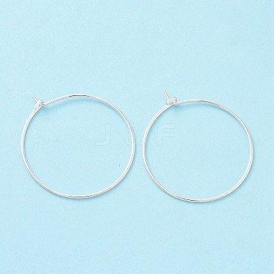 925 Sterling Silver Hoop Earring Findings STER-D035-24S-1