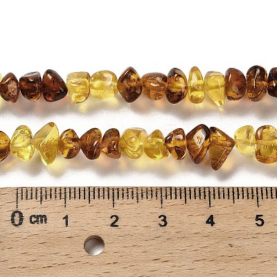 Natural Amber Beads Strands G-L095-L01-04-1