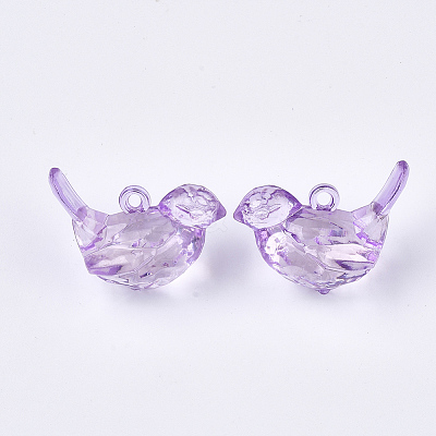 Transparent Acrylic Pendants X-TACR-S133-028-1