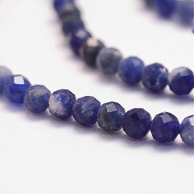Natural Sodalite Bead Strands G-P279-58-3mm-1