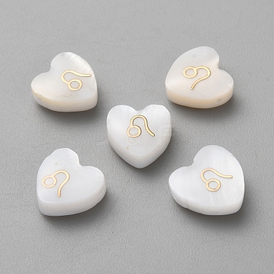 5Pcs Natural White Shell Beads LS-BSHE-TAC0004-02G-1