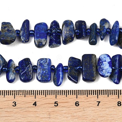 Natural Lapis Lazuli Beads Strands G-L657-E01-01-1