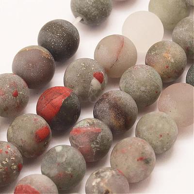 Natural African Bloodstone Beads Strands G-P295-05-10mm-1