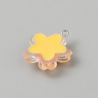 Transparent Resin Pendants RESI-TAC0002-84B-1