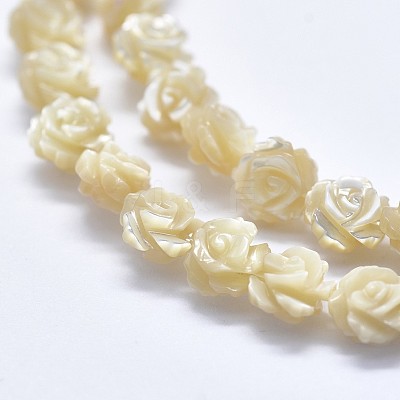 Shell Bead Strands SSHEL-P015-01B-6mm-1