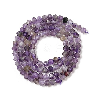 Natural Amethyst Beads Strands G-G189-A01-01-1