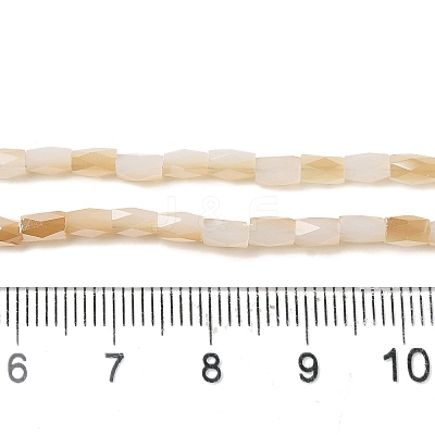 Electroplate Glass Beads Strands GLAA-P068-HR03-1