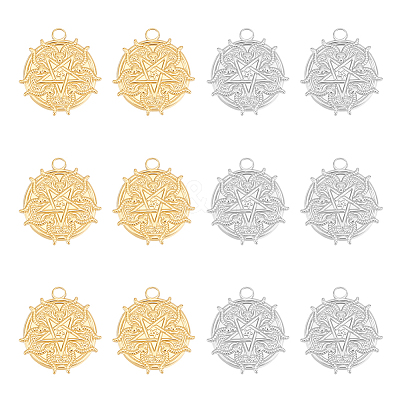 12Pcs 2 Colors Ion Plating(IP) 304 Stainless Steel Pendant STAS-UN0049-75-1