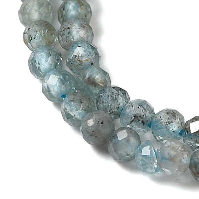 Natural Apatite Beads Strands G-C137-A01-01-1