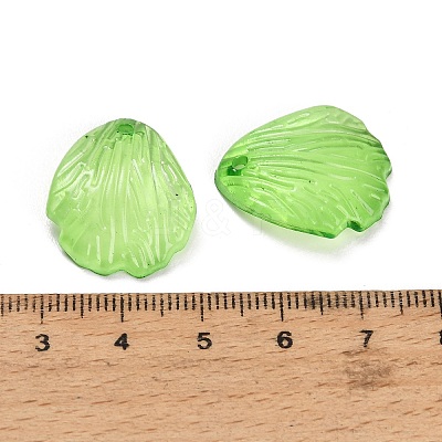 Transparent Acrylic Pendants AC-CBA5040-01H-1