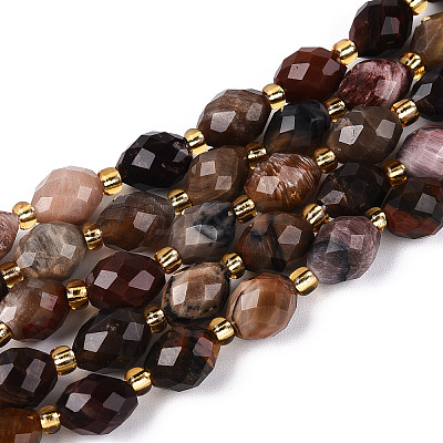 Natural Petrified Wood Beads Strands G-N342-35-8x6-07-1