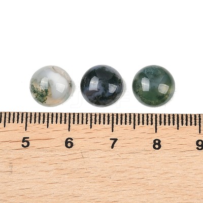 Natural Moss Agate Cabochons G-D367-01A-01-1