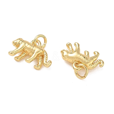 Brass Charms KK-D289-34C-G-1