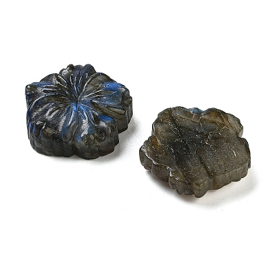 Natural Labradorite Carved Cabochons G-C152-06-1