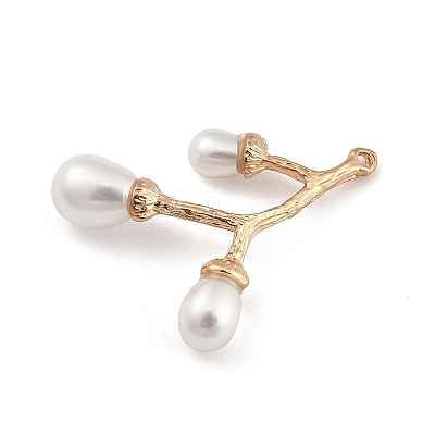 Zinc Alloy Pendants PALLOY-D311-03KCG-1