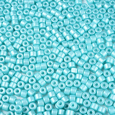 Baking Paint Pearlized Glass Seed Beads SEED-T008-03Q-1