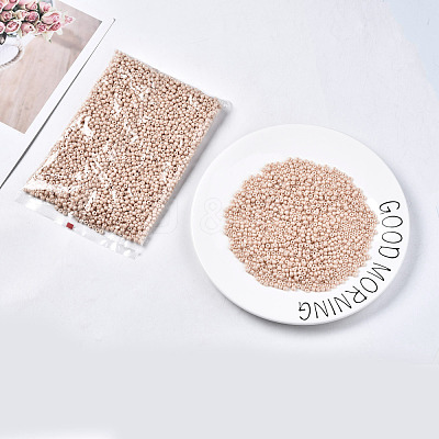 6/0 Glass Seed Beads SEED-S058-A-F209-1
