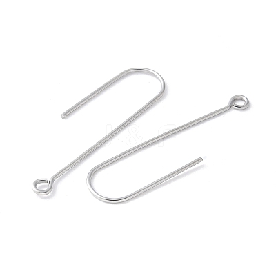 316 Surgical Stainless Steel Earring Hooks STAS-Z124-02A-P-1
