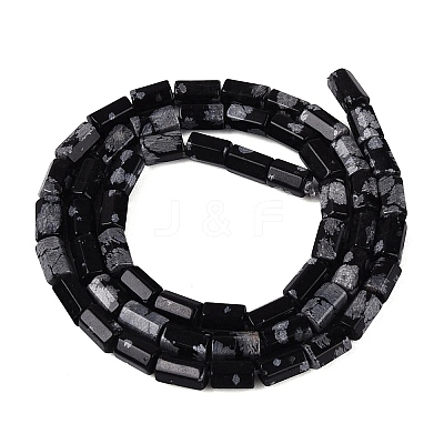 Natural Snowflake Obsidian Beads Strands GG-N002-01A-05-1