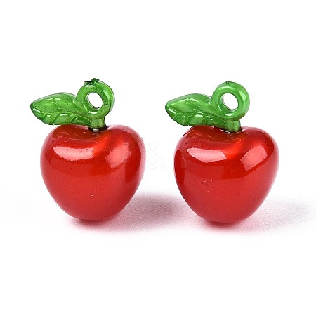 Korea Acrylic Pendants OACR-L009-H02-1