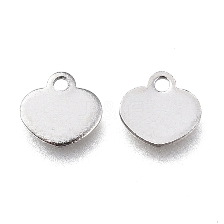 Non-Tarnish Stainless Steel Charms STAS-L236-08P-1