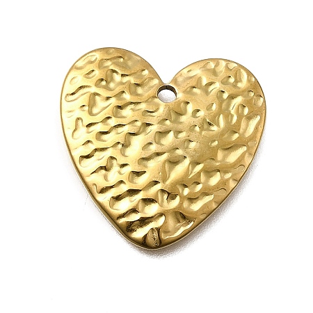 304 Stainless Steel Pendants STAS-Z163-01G-02-1