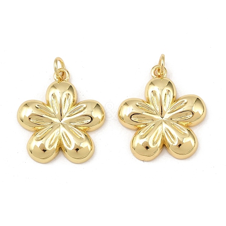 Brass Pendants KK-L251-28G-1