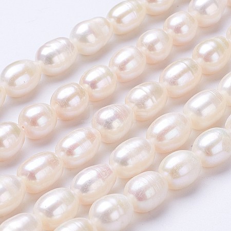 Natural Cultured Freshwater Pearl Beads Strands PEAR-P002-13-01-1