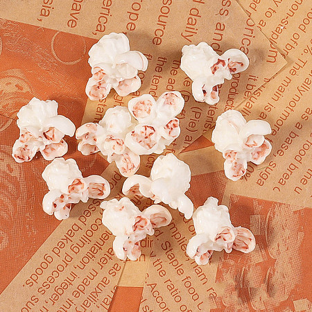 Resin Simulation Popcorn RESI-WH0083-005A-1