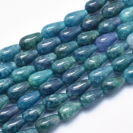 Natural Apatite Beads Strands G-K256-41A-1