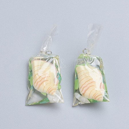 Tortoise Shape Fish Water Bag Resin Pendants DIY-WH0121-38E-1